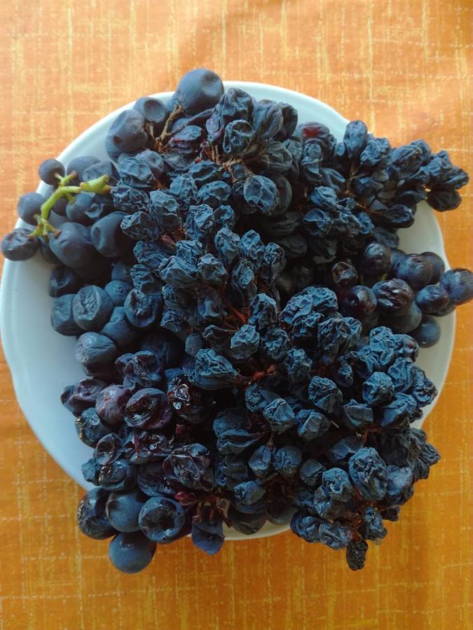 Adrian'S Apartments & Winery Лумбарда Екстериор снимка